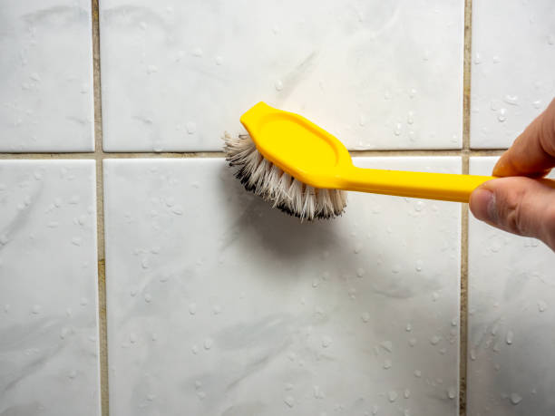 Best Fast Mold Removal  in Mayer, MN