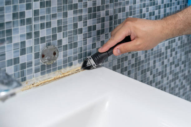 Best Fast Mold Removal  in Mayer, MN